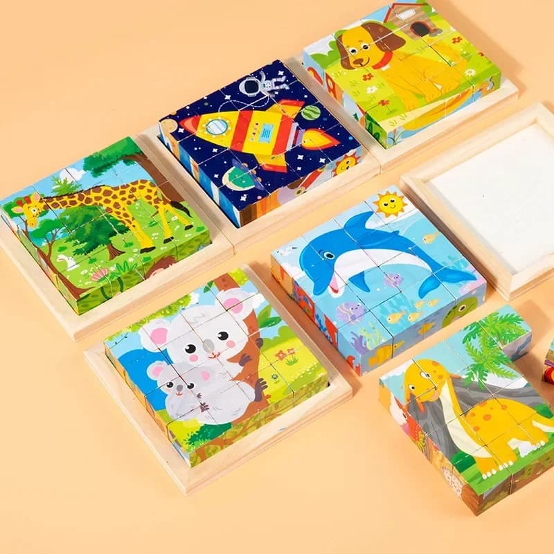 Wooden Six-Sided Puzzle Blocks