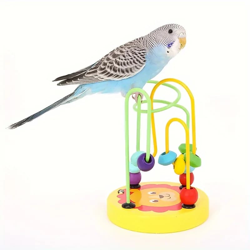 Bird Foraging Training Rings Puzzle Toy