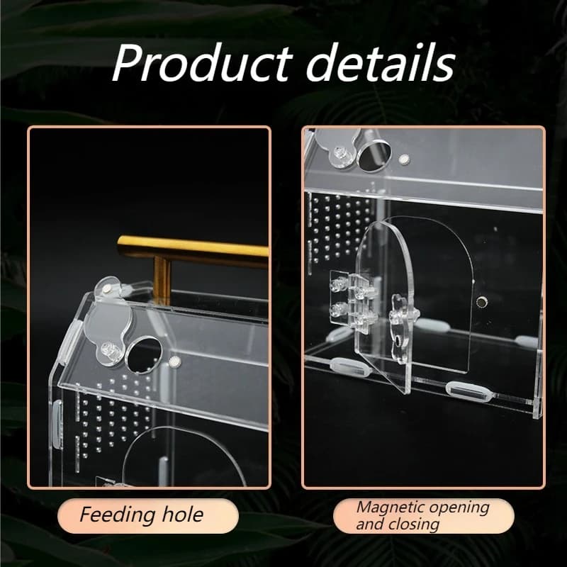 Acrylic Portable Reptile Terrarium Breeding Box