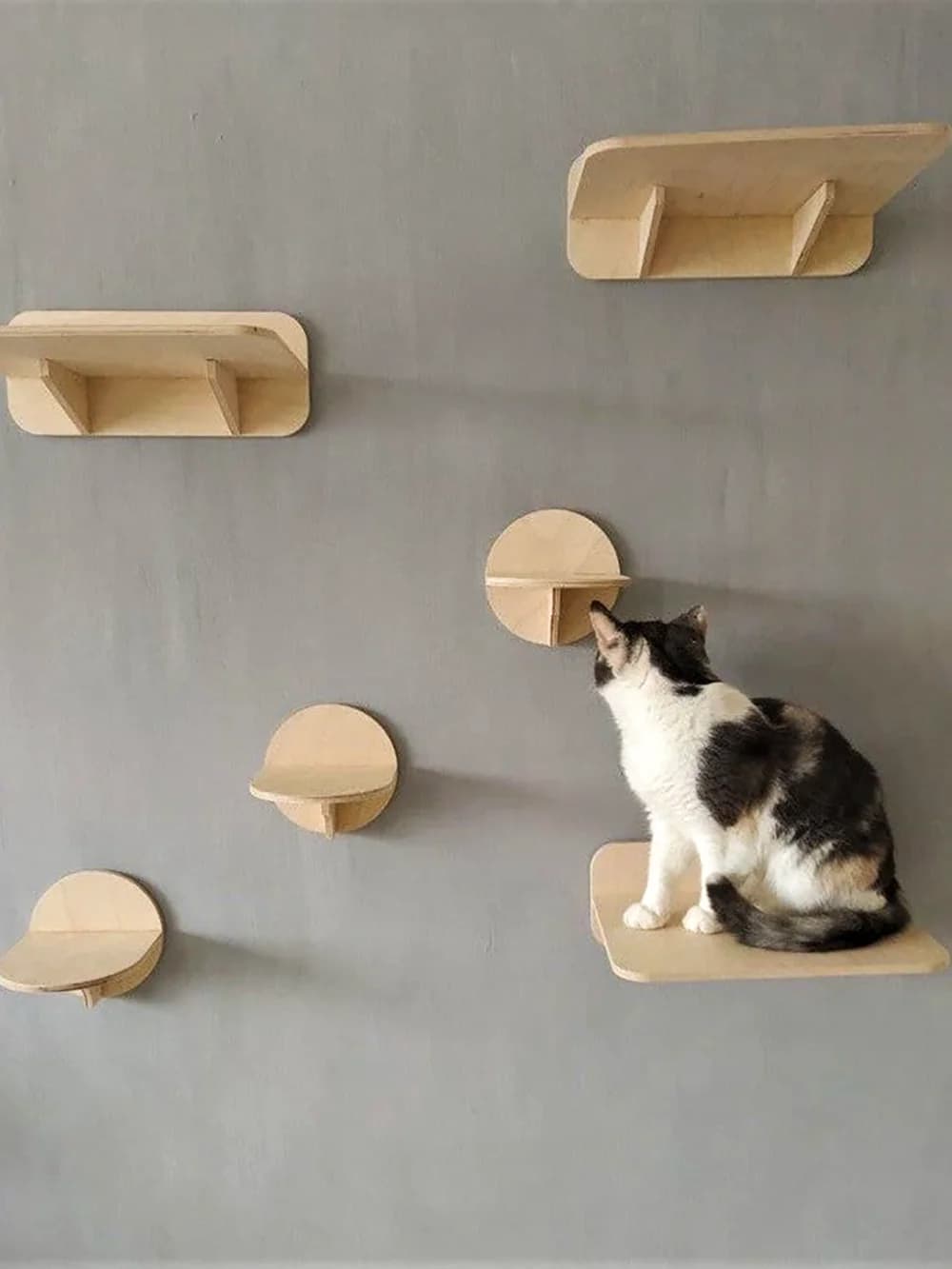 Wall Mounted Cat Tree with Floating Shelves