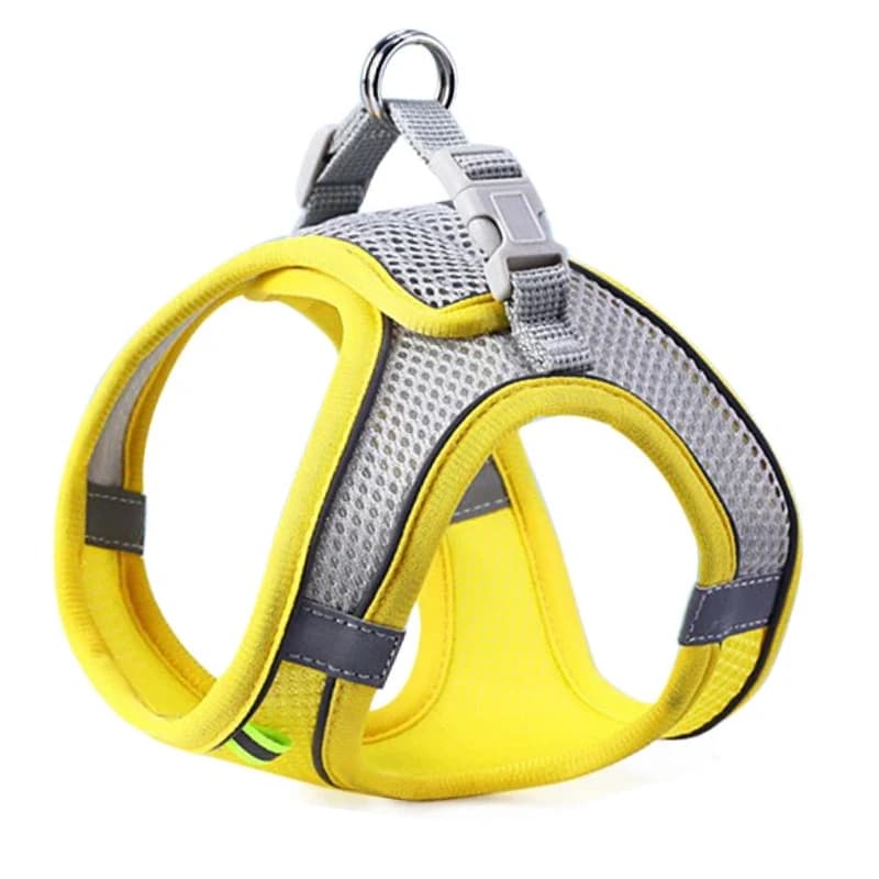 Reflective Mesh Harness and Leash Set for Cats and Small Dogs