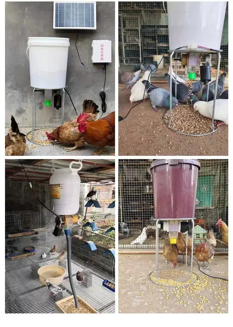 Automatic Poultry and Livestock Feeder