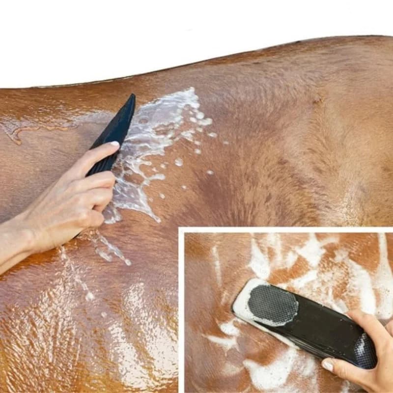 Horse Grooming Brush Set