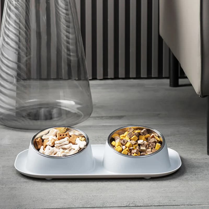Stainless Steel Raised Pet Bowl Feeder