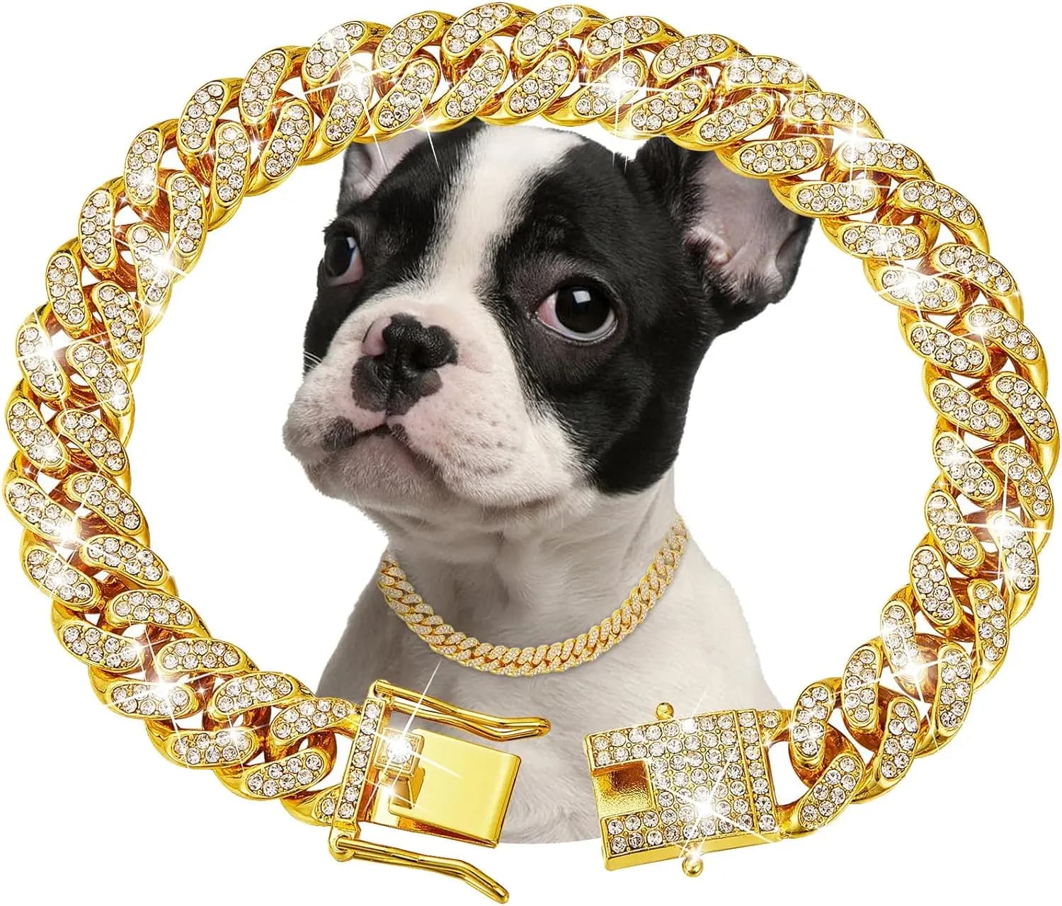 Gold Metal Chain Collar for Dogs and Cats