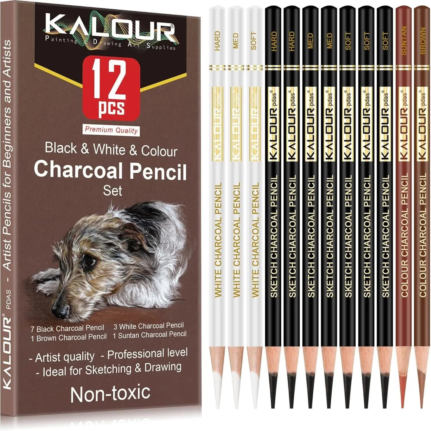 Colored Charcoal Pencils Drawing Set 12 Pieces