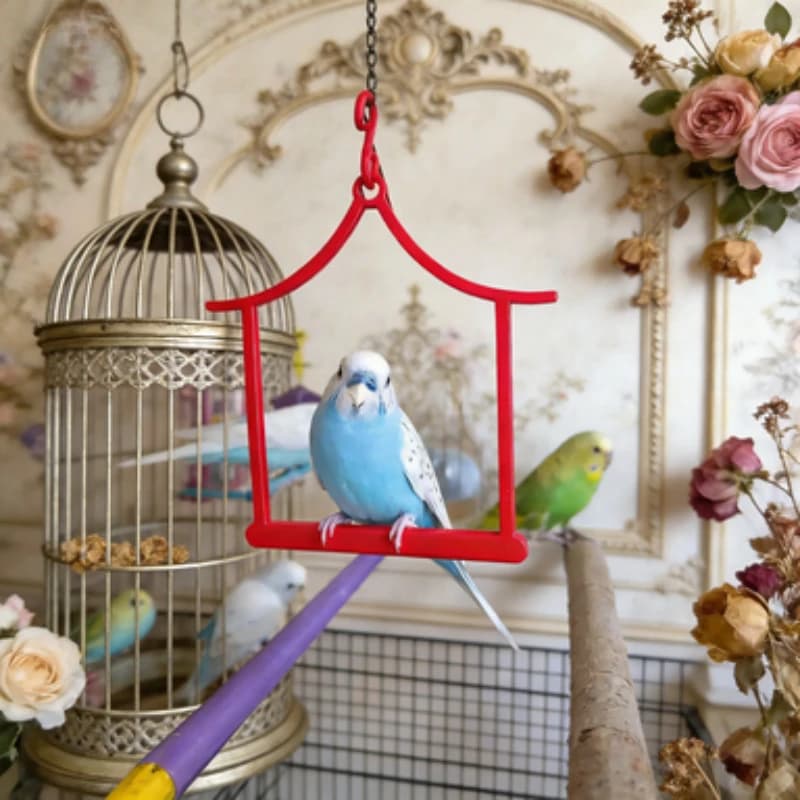 House Shape Bird Swing Perch