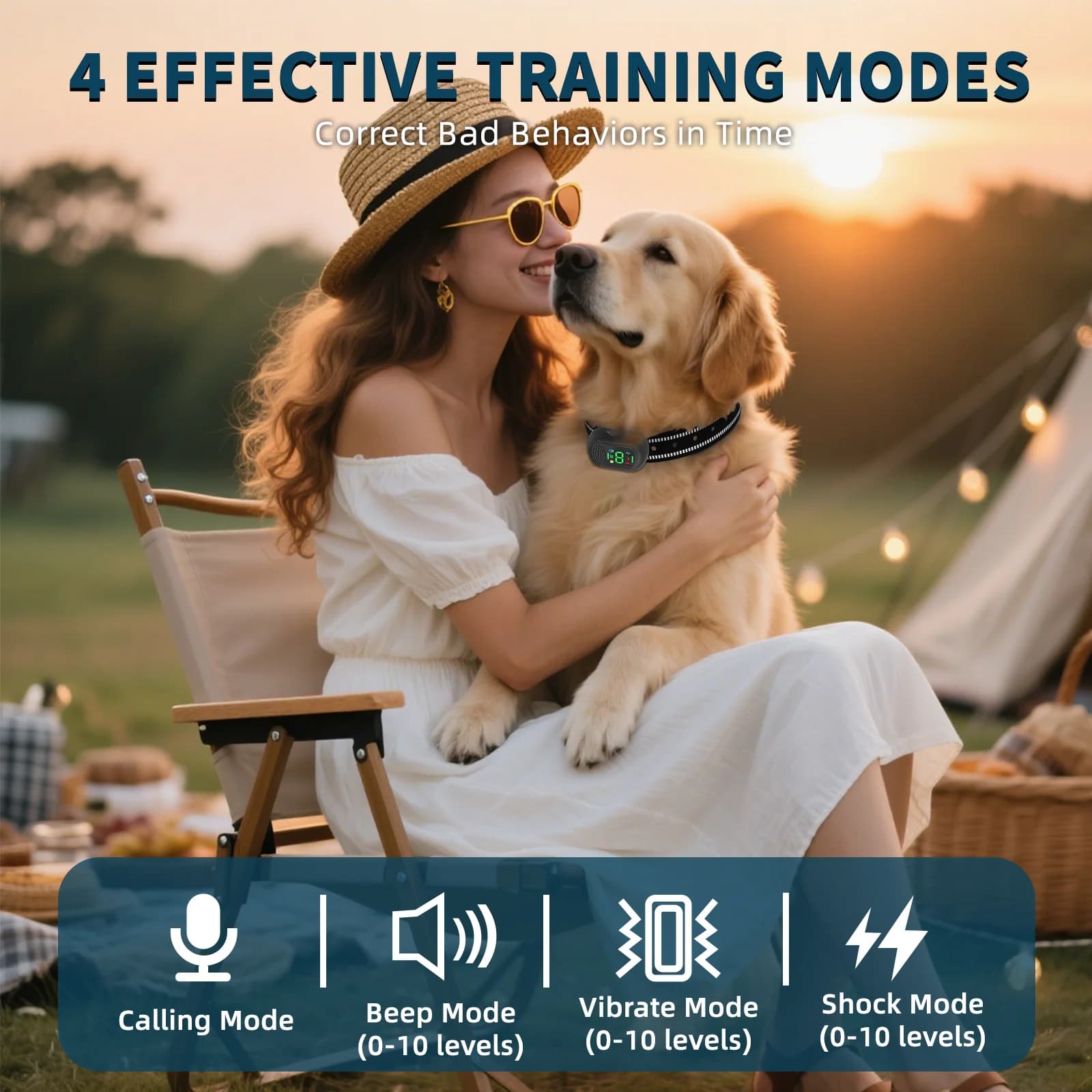 Remote Dog Training Collar