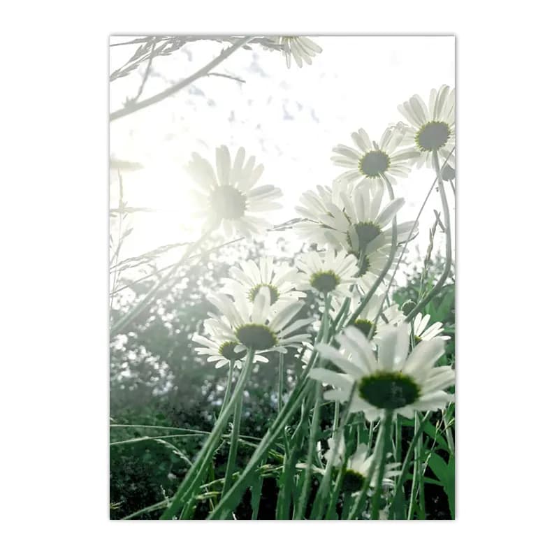 Nature Landscape Canvas Wall Art Prints
