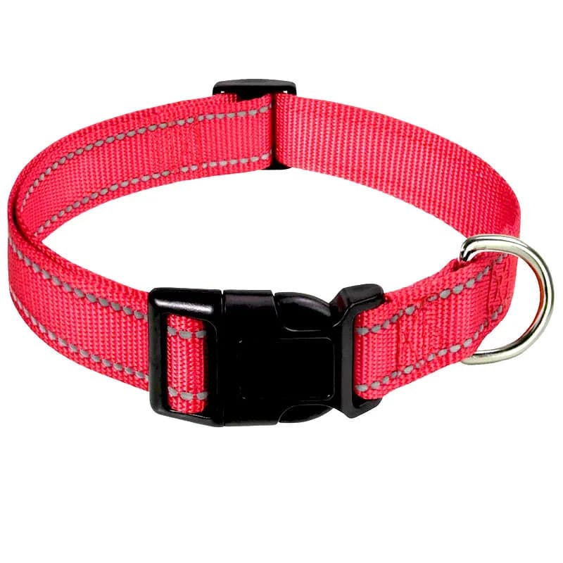 Adjustable Dog Collar with Quick Release Buckle