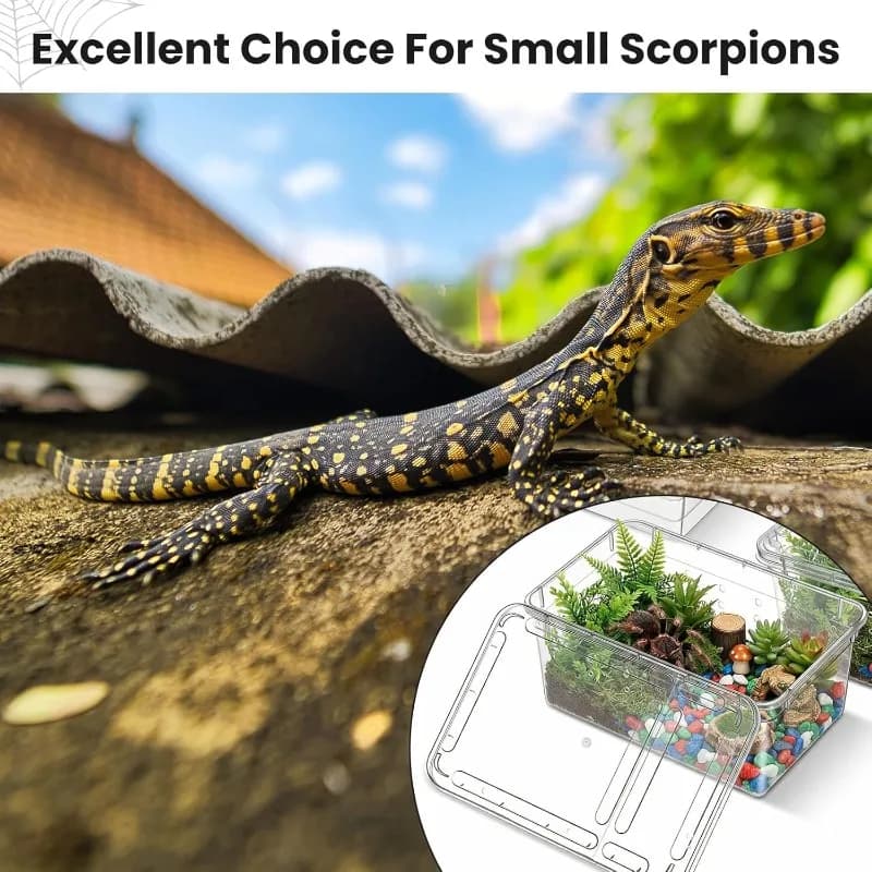 Reptile Breeding Box Terrarium Enclosure