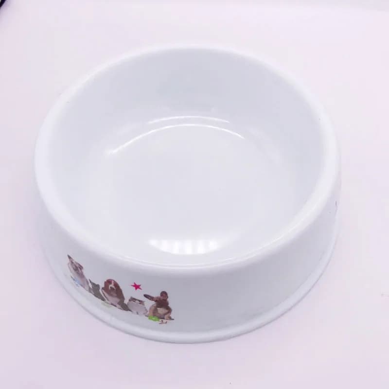 Large Capacity Dog and Cat Food Bowl