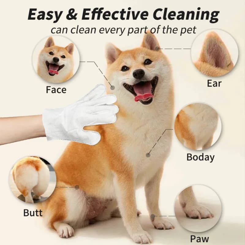 Disposable Pet Cleaning Gloves for Cats and Dogs
