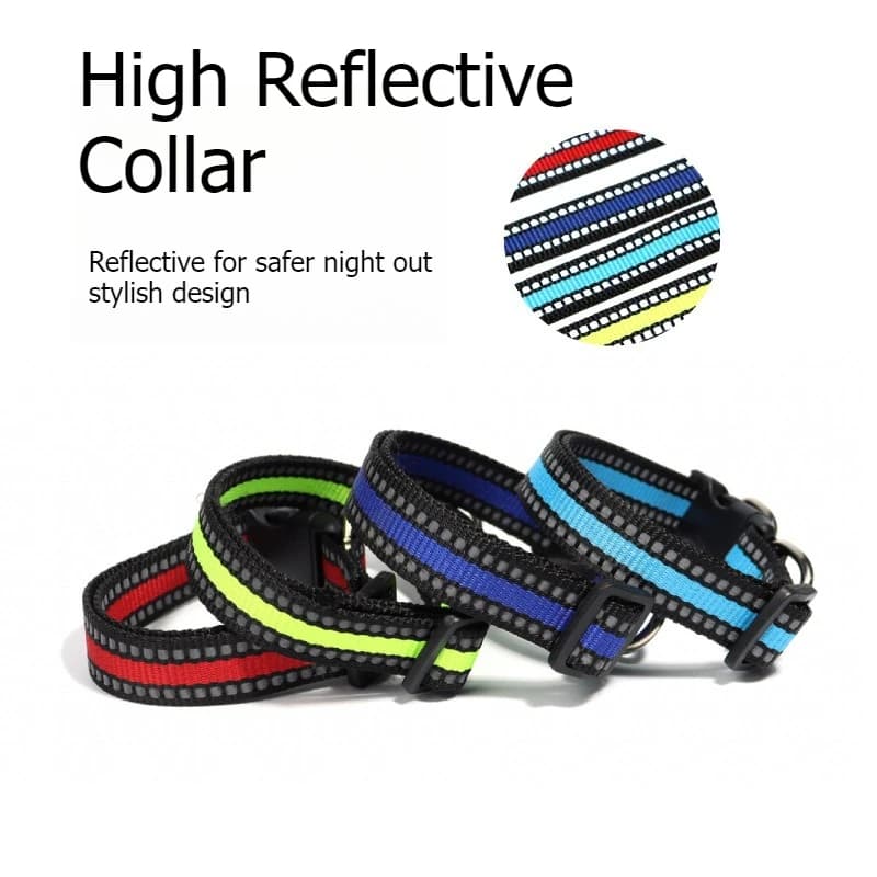 Reflective Nylon Dog Collar with Double D Ring
