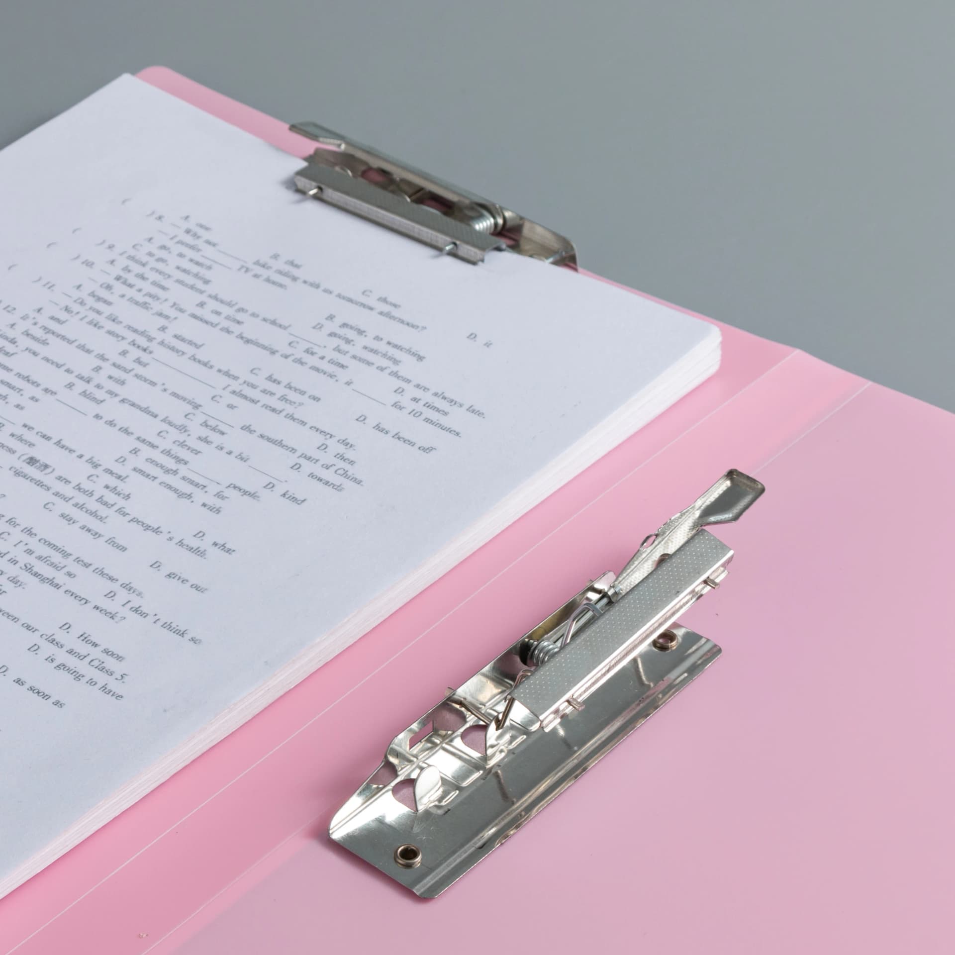 Double Compartment A4 File Folder with Press Clip