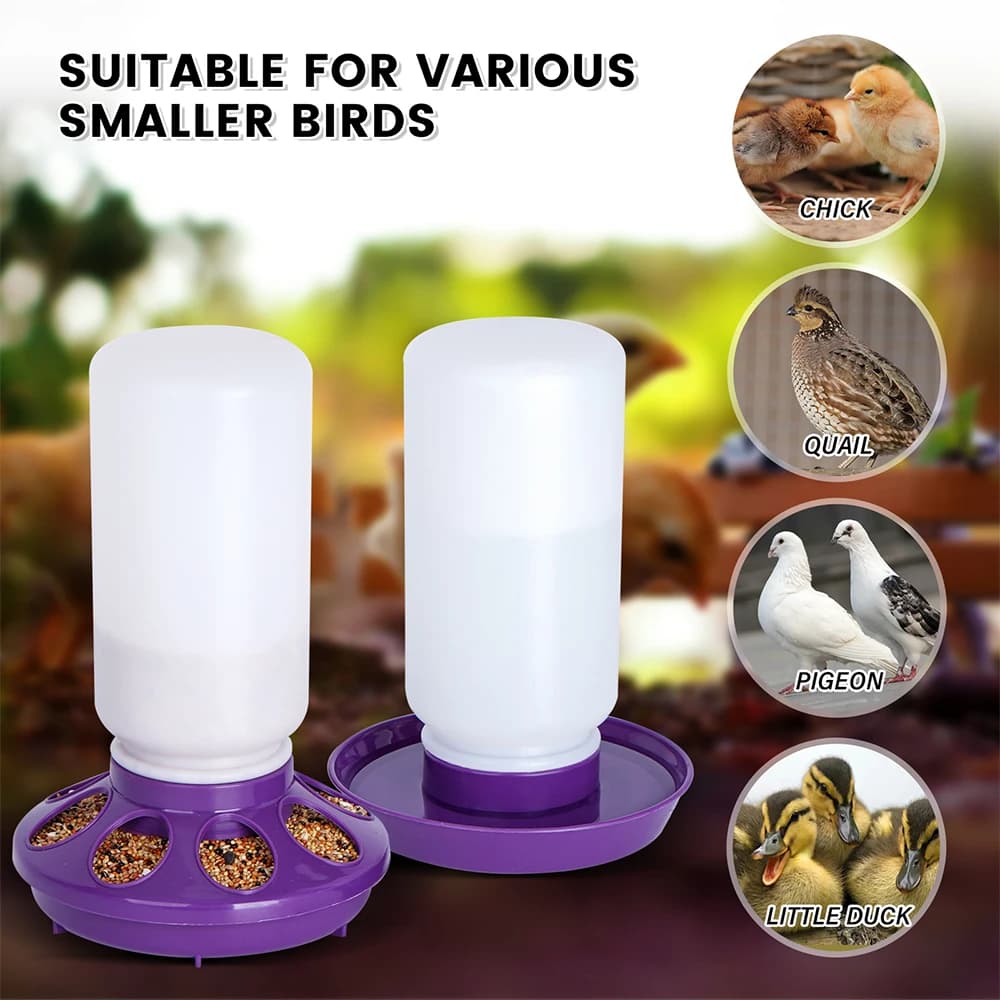 1L Automatic Chicken Waterer Bucket