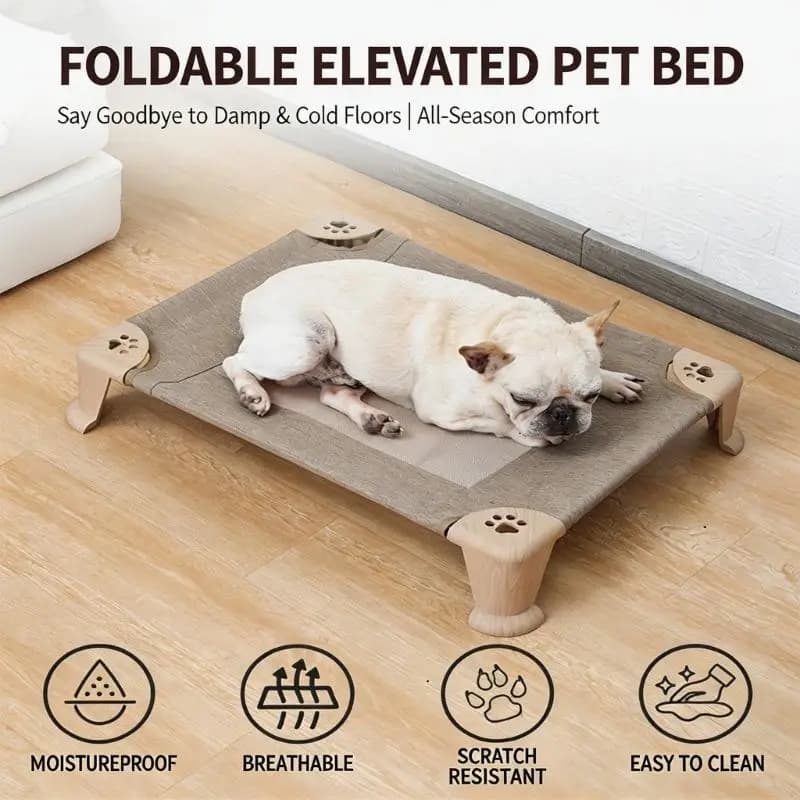 Elevated Cooling Dog Bed for Large Dogs
