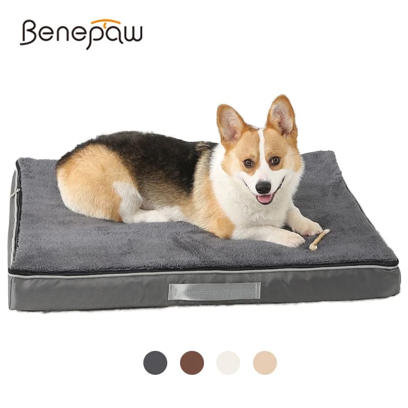 Memory Foam Dog Bed with Washable Cover