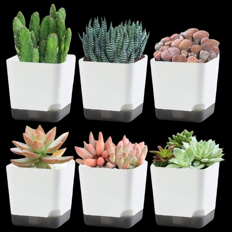Self-Watering Plant Pots Set of 5