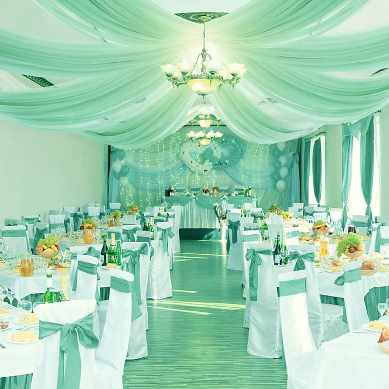 Sheer Chiffon Ceiling Drape Panel