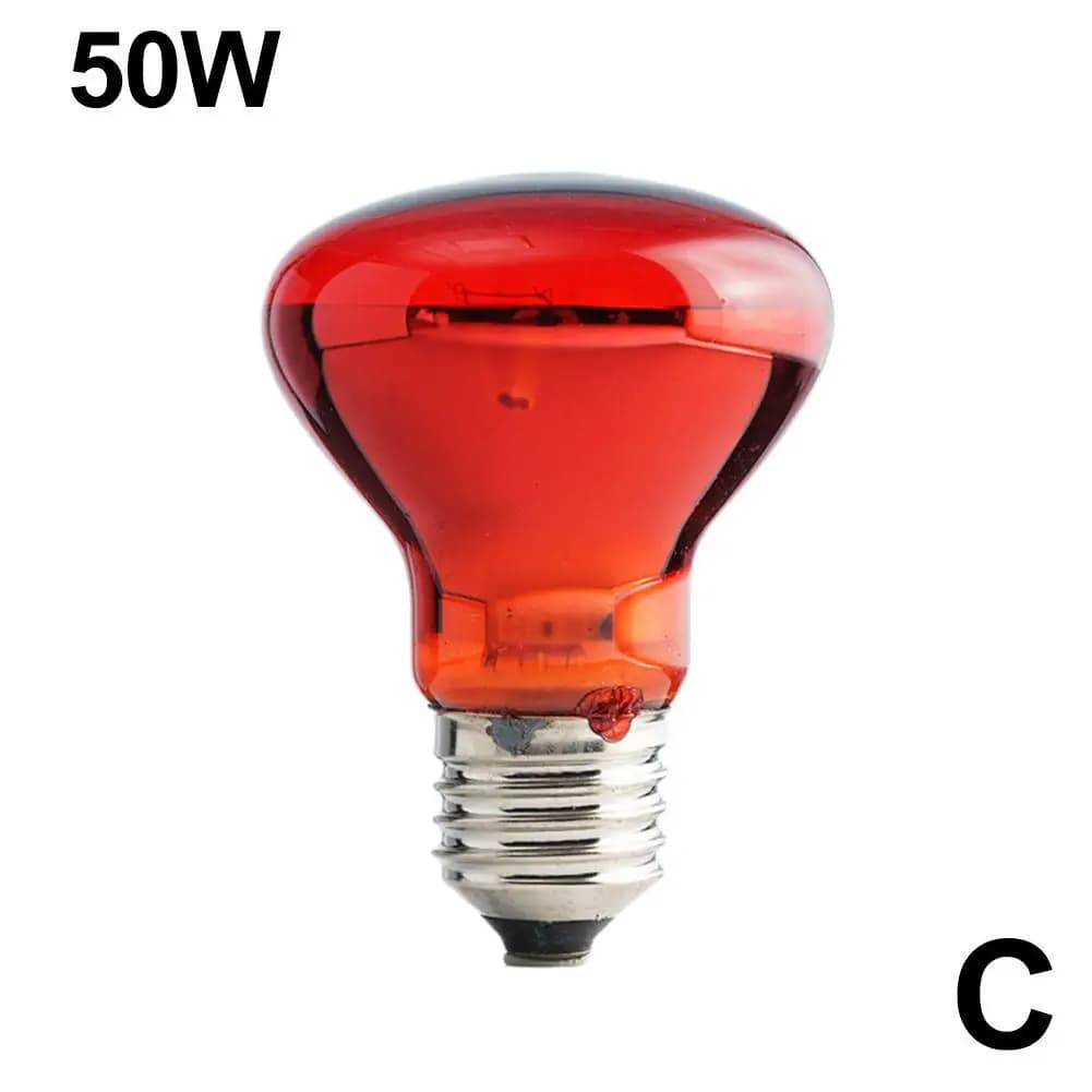 Reptile Heat Lamp Bulb UVA Day Night 25-100W