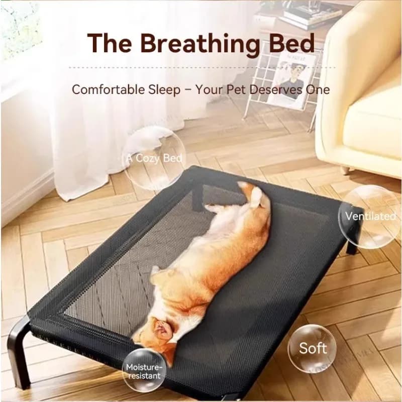 Elevated Outdoor Dog Bed with Mesh Cover
