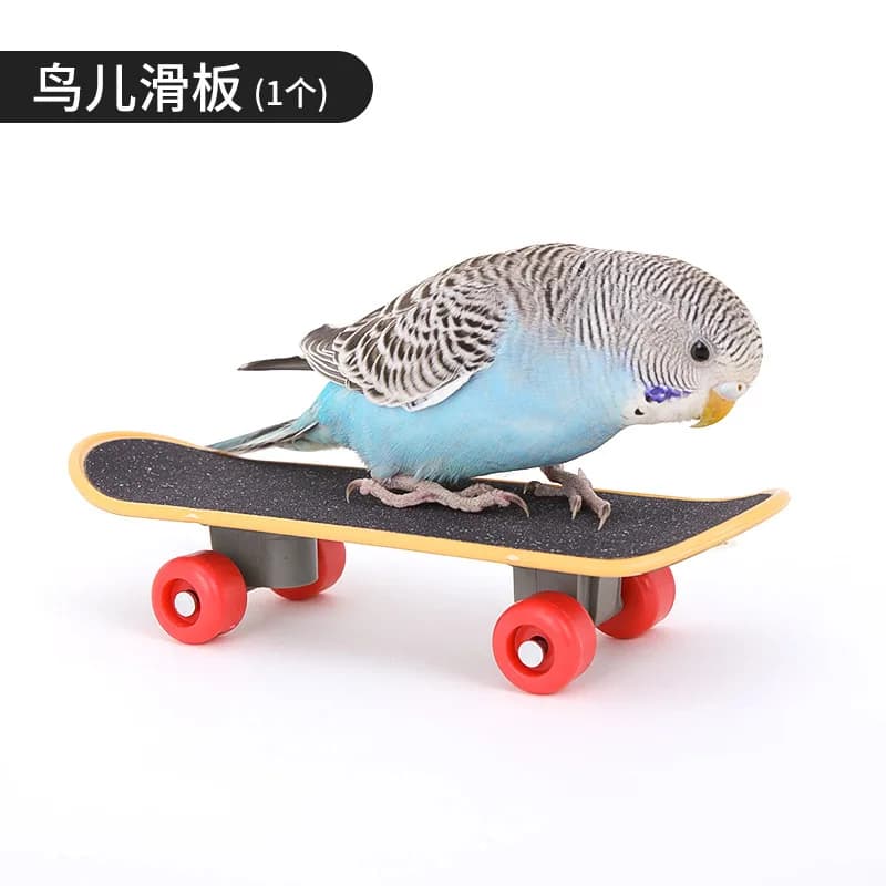 Bird Cage Activity Toy