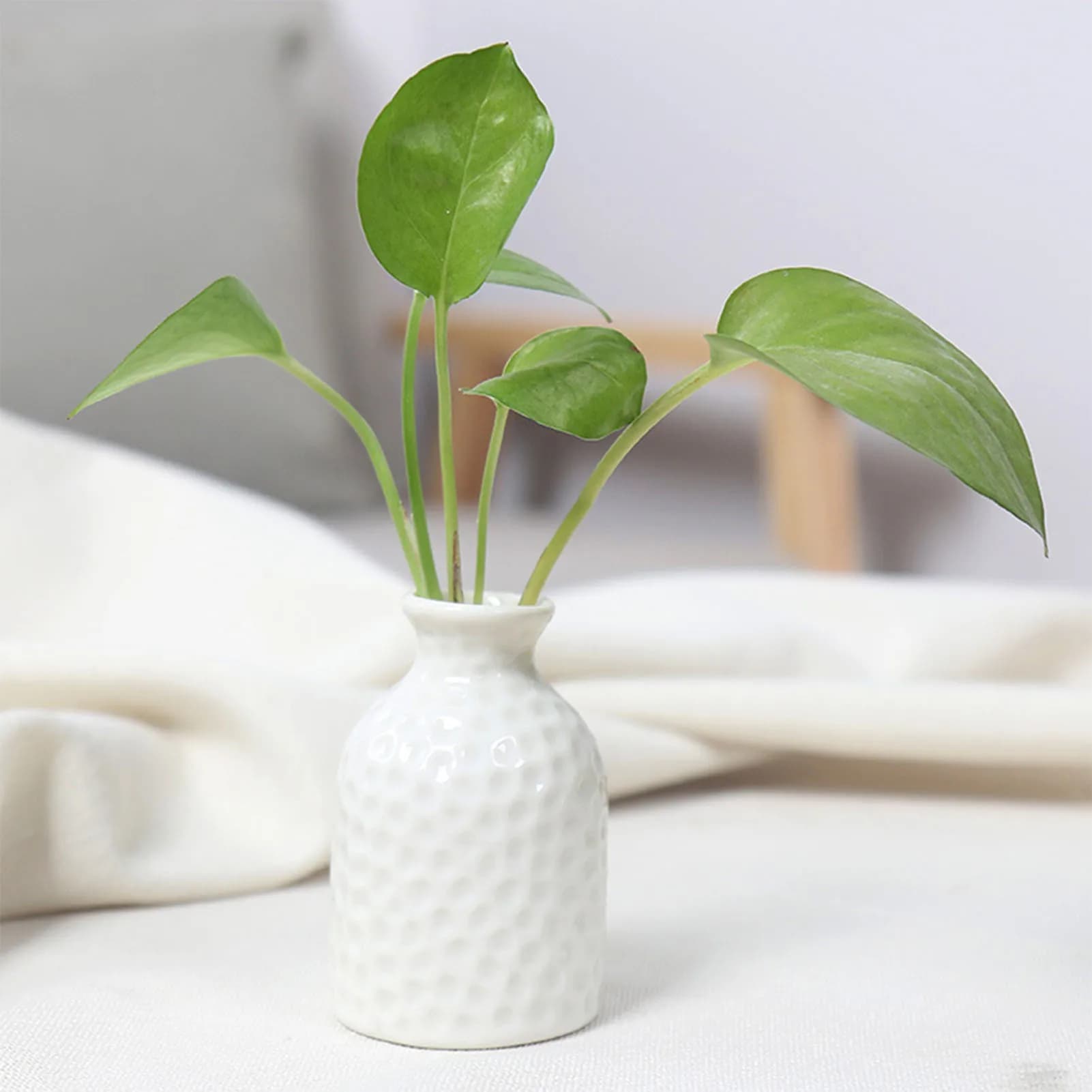 Ceramic Flower Vase for Plants