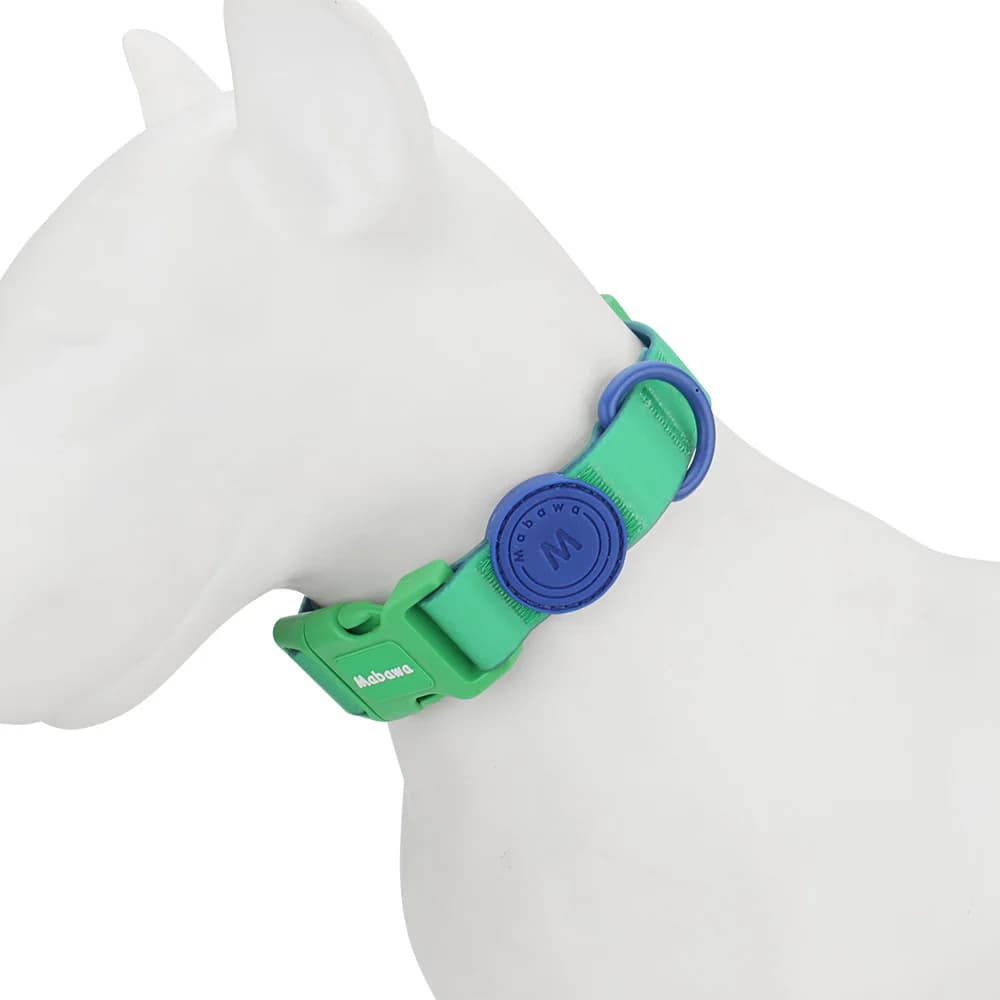 Candy Color Medium Pet Collar with Leash