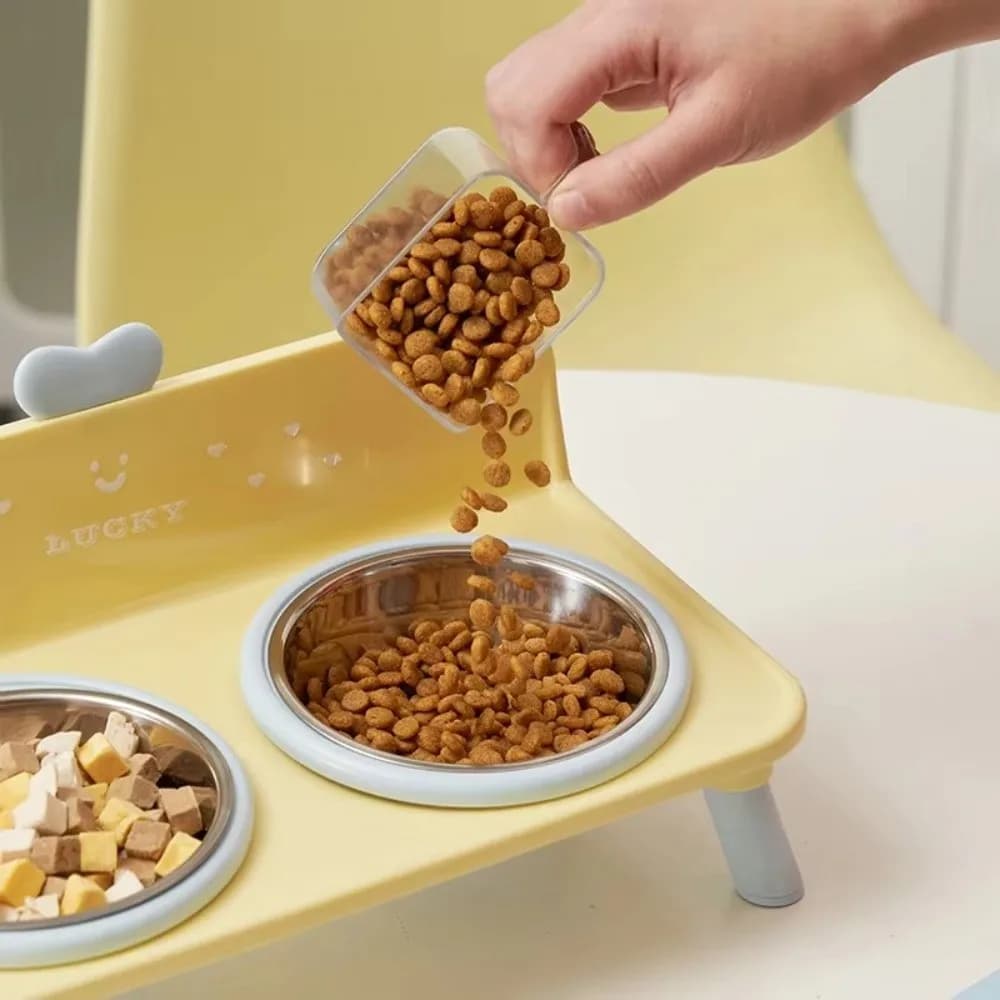 Elevated Stainless Steel Double Pet Bowl with Splash Guard