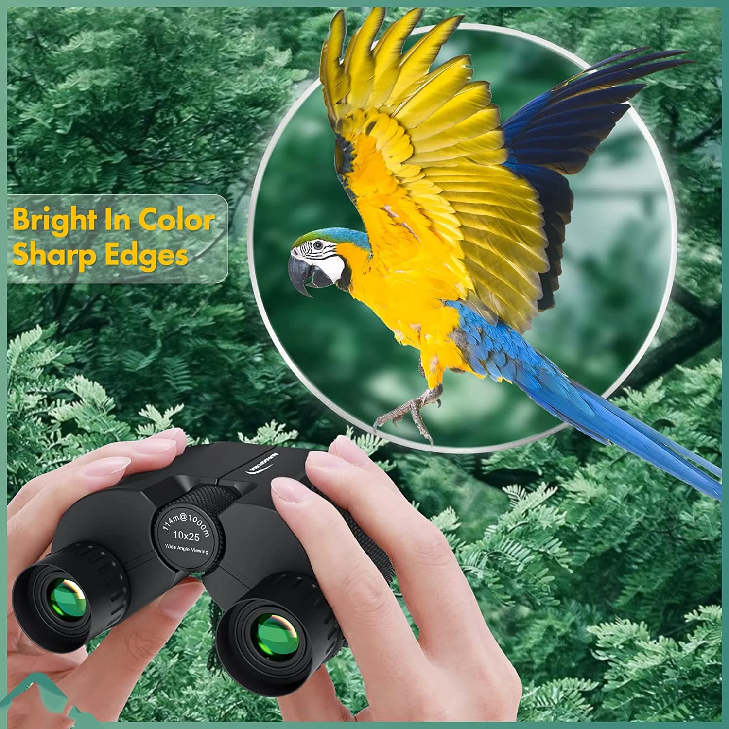 10x25 Binoculars,Large View Compact Telescopes for Adults/Kids Bird Watching Outdoor Travel Sightseeing Concerts Hunting Hiking