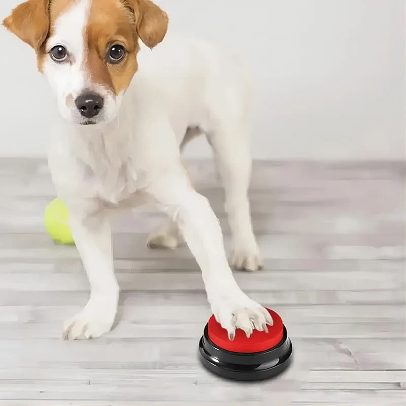 Recordable Dog Talking Buttons Pet Toys