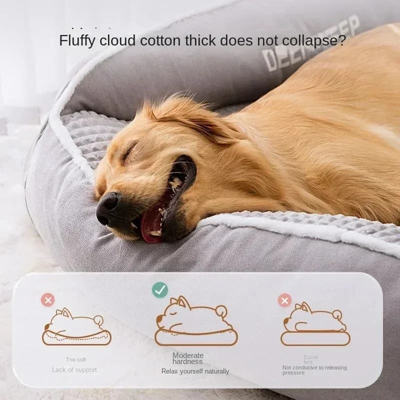 Small Dog Bed with Cushioned Comfort
