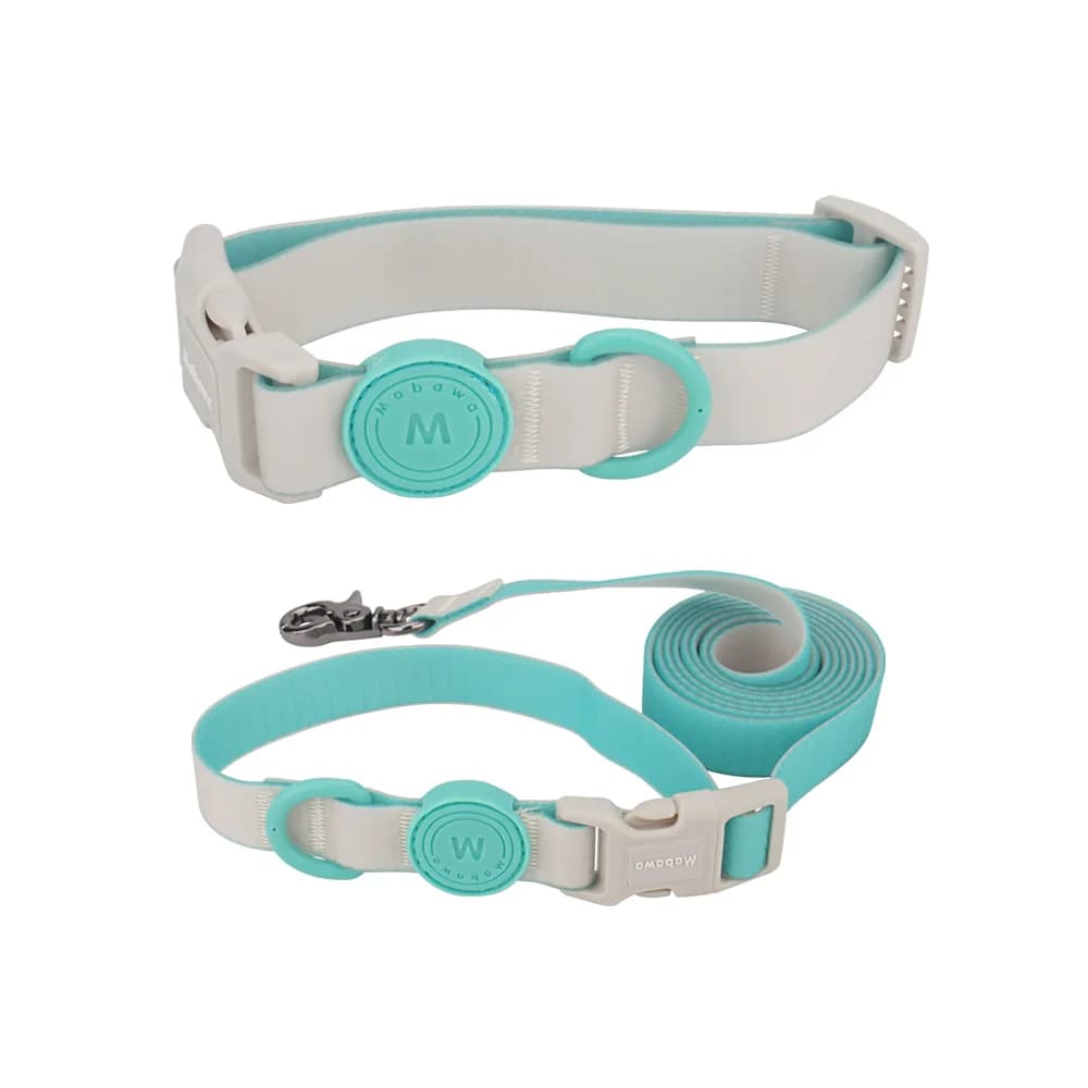 Candy Color Medium Pet Collar with Leash