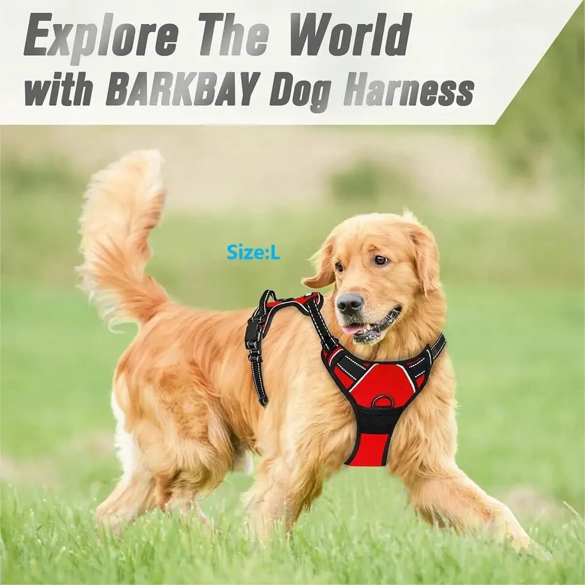 Dog Collar Harness and Leash Set