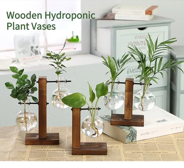 Wooden Frame Glass Hydroponic Vase