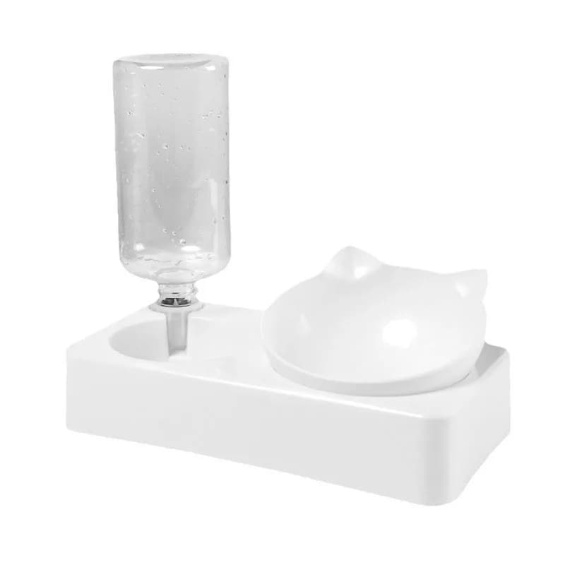 2-in-1 Pet Food and Water Feeder Bowl Set