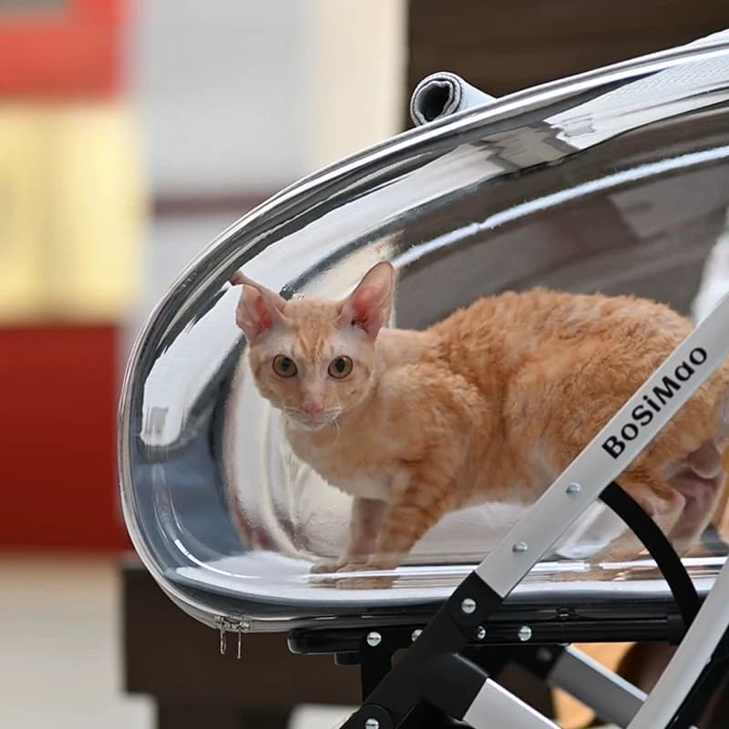 Portable Pet Stroller Folding Disassembling Cat Carrying Outdoor Windproof Rainproof Cat Bag Panoramic Breathable Pet Supplies