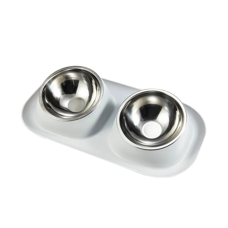 Stainless Steel Raised Pet Bowl Feeder