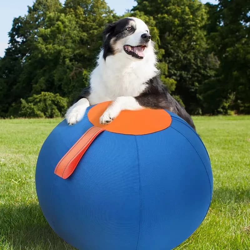 Pet | Dog Toy Throwing Inflatable Large Ball Durable Polyester Chew Teething Boredom Self-Entertainment Hardcore