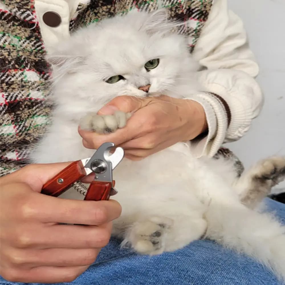 Pet Nail Clippers with Wooden Handle