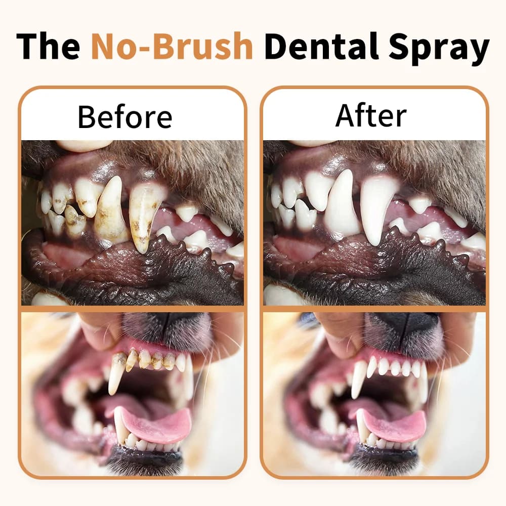 Dog Cat Breath Freshener Spray