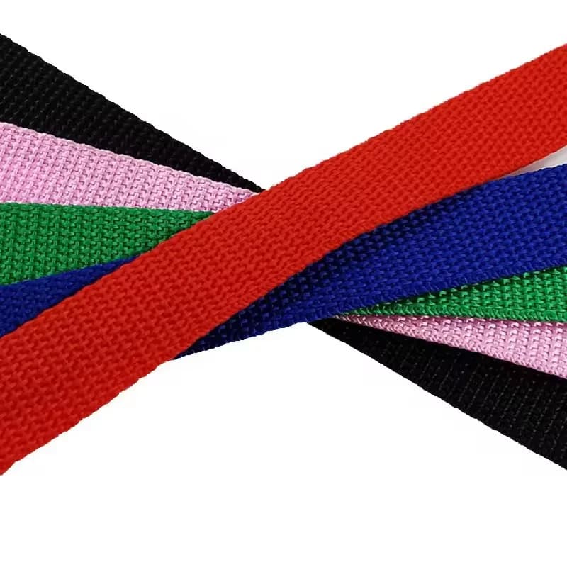 Extra Long Nylon Dog Leash