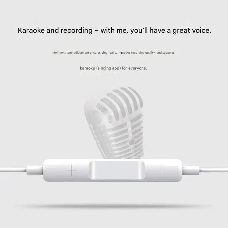 Wired In-Ear Headphones with Microphone