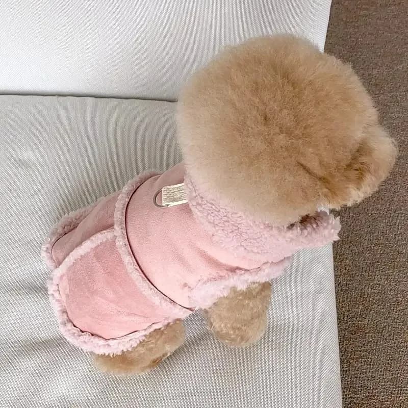 Small Dog Sweatshirt Dress