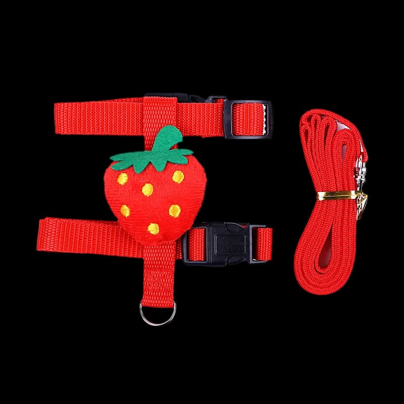 Small Animal Harness and Leash Set