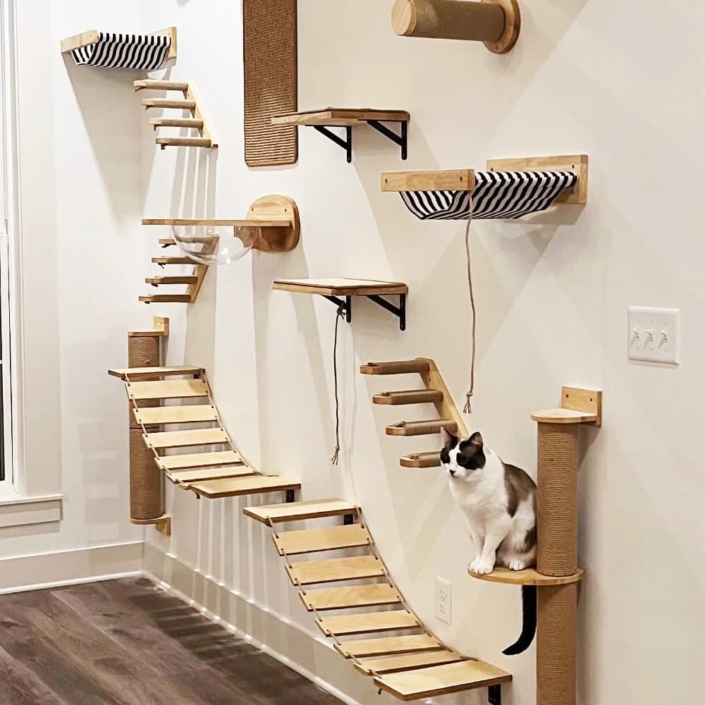 Wall-Mounted Cat Climber Set with Shelves