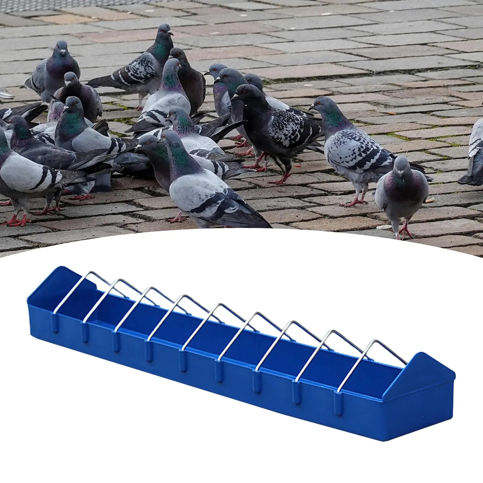 Pigeon Poultry Feeder Trough