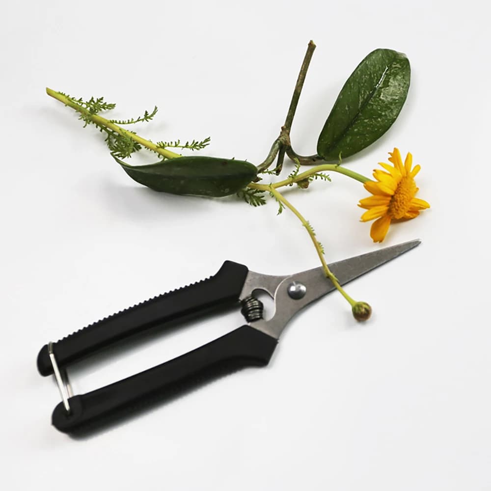 Pruning Shears and Florist Scissors