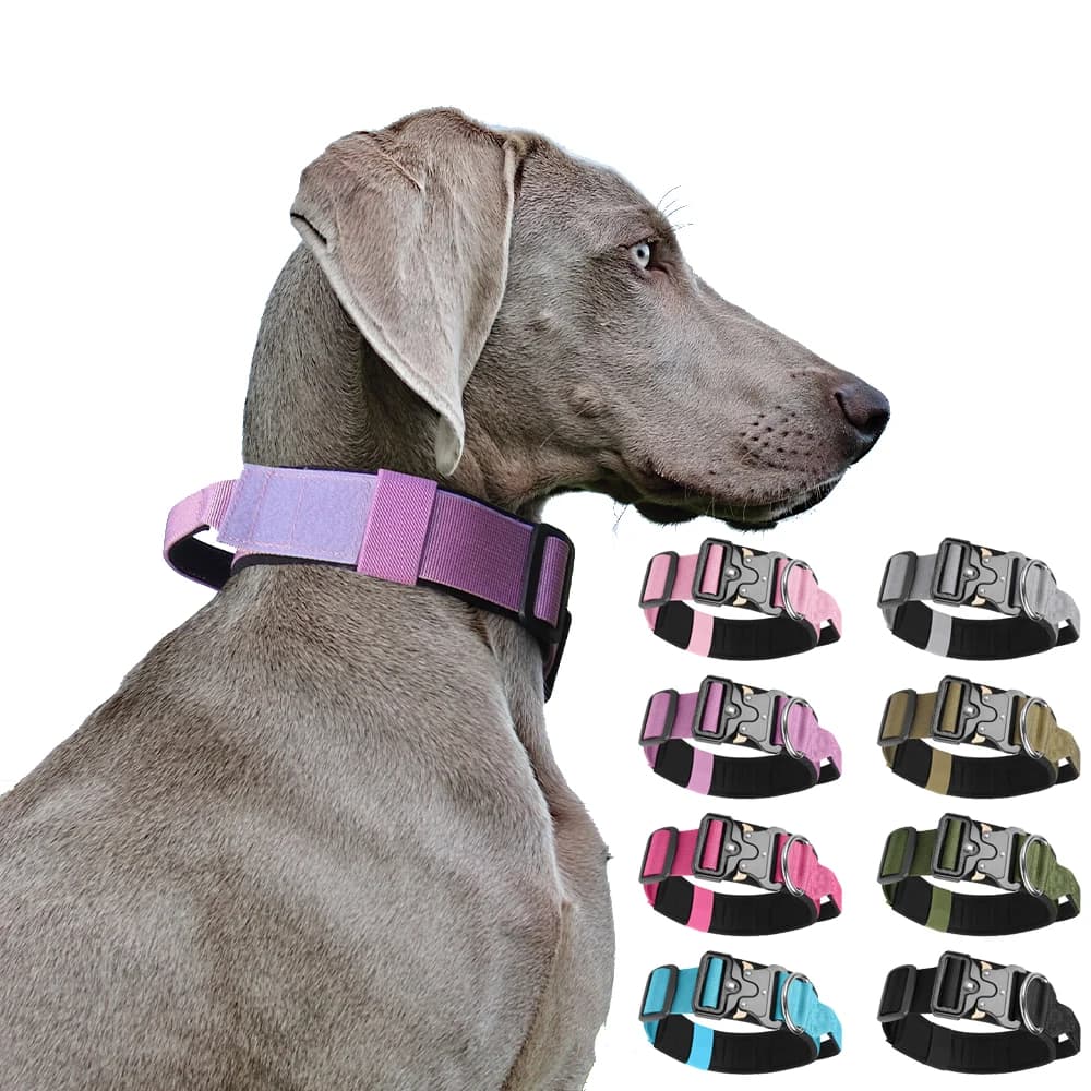 Tactical Dog Collar for Medium to Large Dogs
